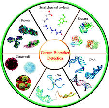 Cancer Biomarkers Photo